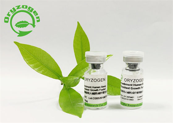 Oryza-kosmetische Sativabestandteile grundlegendes FGF gefriertrockneten Pulver