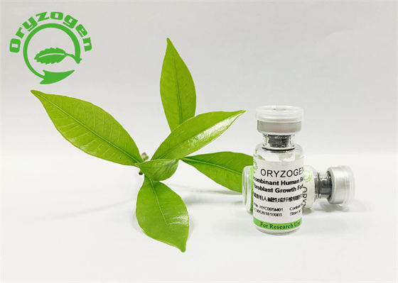 Alternde bFGF Wachstumsfaktor-Antianlage leitete mit hoher Bioaktivität ab