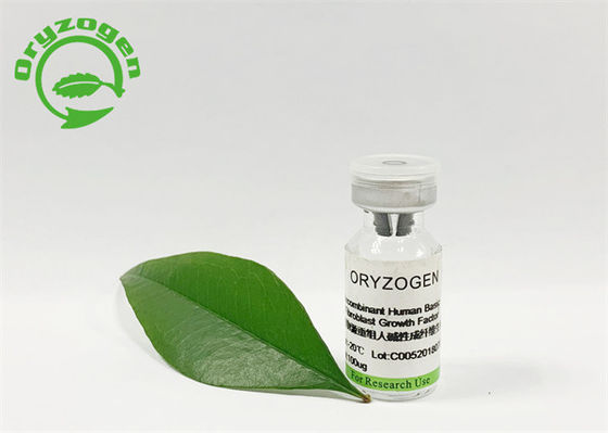 Geschmackloser 95% Reinheit Oryza grundlegendes SATIVAFGF lyophilisierte Pulver