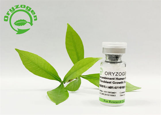 Duft-freies grundlegendes Fibroblast-Wachstumsfaktor-Tier frei für Kosmetik