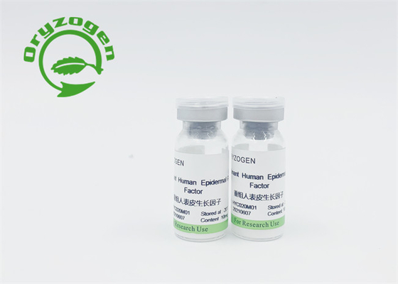 Recombinant EGF-Protein bFGF gefriertrocknete Pulver