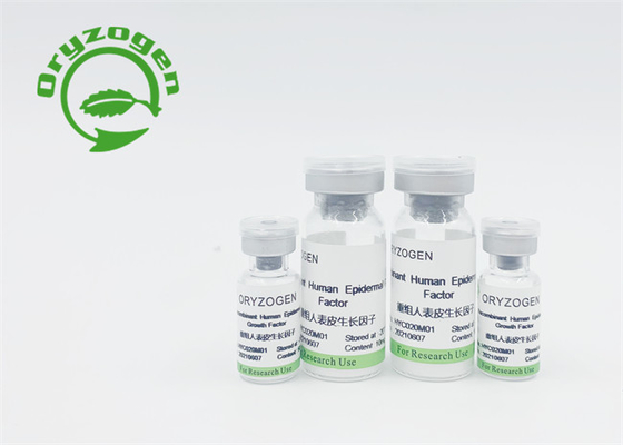 Tierfreier Recombinant TeilWachstumsfaktor EGF