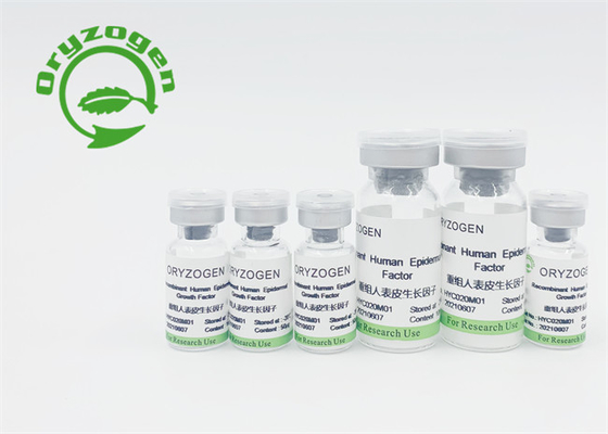 Geschmackloser Wachstumsfaktor EGF lyophilisierte Pulver für Haut-epidermiale Zellwachstums-Förderung