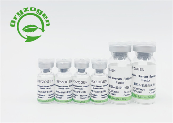 Recombinant epidermiales Wachstumsfaktor-Serum für Skincare