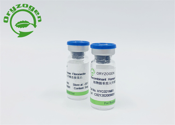 Reis-Korn leitete Fibronectin F-N mit niedrigem Endotoxin ab