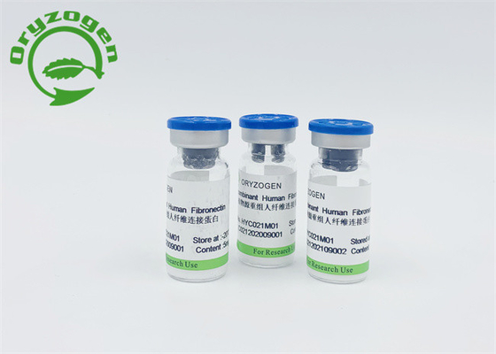 Höhere Bioaktivität Fibronectin F-N für die Förderung von Zellregeneration und die Reparatur