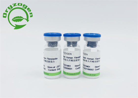 Anlage ISO9001 leitete Recombinant menschlichen Fibronectin ab