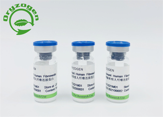 Tierkomponente freier Recombinant menschlicher Fibronectin CAS 86088-83-7