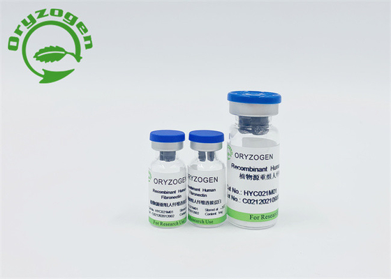 Pulverisiertes nicht Blut leitete Recombinant menschlichen Fibronectin ab