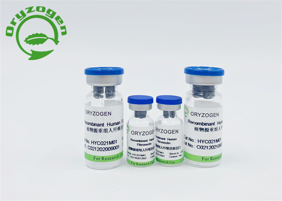 Reis-Korn-Serum freier Recombinant menschlicher Fibronectin 86088-83-7