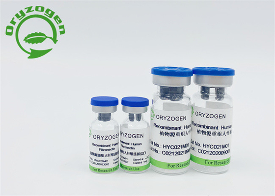 Oryza Recombinant menschlicher Sativafibronectin lyophilisierte Pulver