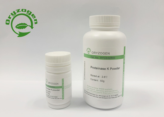 Pichia Pastoris leitete Recombinant Auswahl-Protein der Proteinase-K inaktiviert Nucleases ab