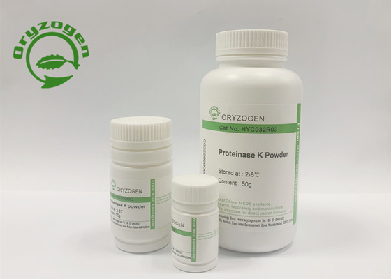 Stabile Versorgungs-Recombinant Proteinase K für Polysaccharid-Impfstoffe