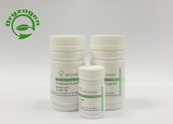 80kg/month Recombinant Proteinase K für RNS Extraktion
