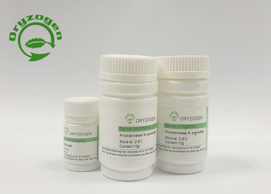 Recombinant Proteinase K für Extraktion der Nukleinsäure-Covid-19