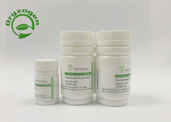 CAS Nos 39450 – Recombinant der Proteinase-01 - 6 Vielzahl Kinase-Auswahl-A von Proteinen