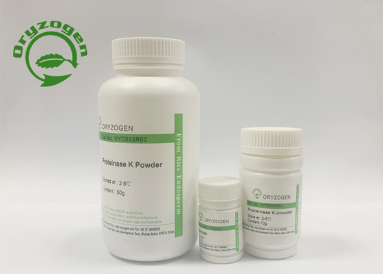 ISO 9001 2015 Zertifikat-Recombinant Proteinase K, die Nukleinsäuren extrahiert