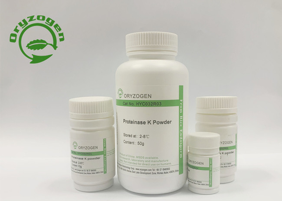 Größer als 95% Reinheit Recombinant PK für Covid – Entdeckung der Nukleinsäure-19