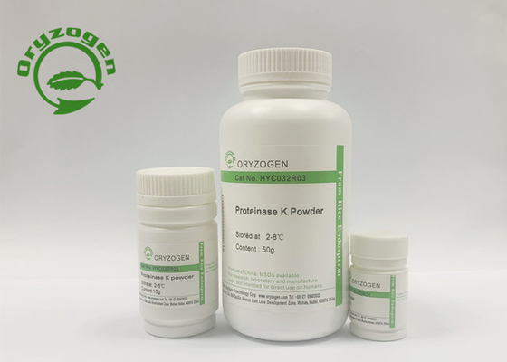 Spezifische Tätigkeits- vonrecombinant Proteinase K größer als 40 U/MgP für DNA-Extraktion