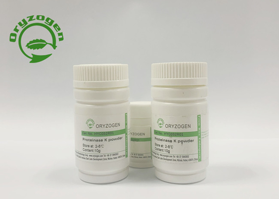 Hefe leitete Recombinant hohe Tätigkeit der Proteinase-K 40 U/mgP ab